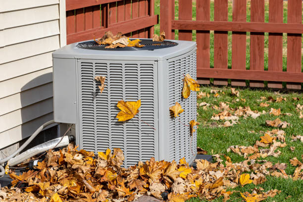 Best HVAC system installation  in Roma, TX